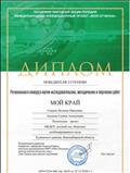 Диплом победителя 2 степени